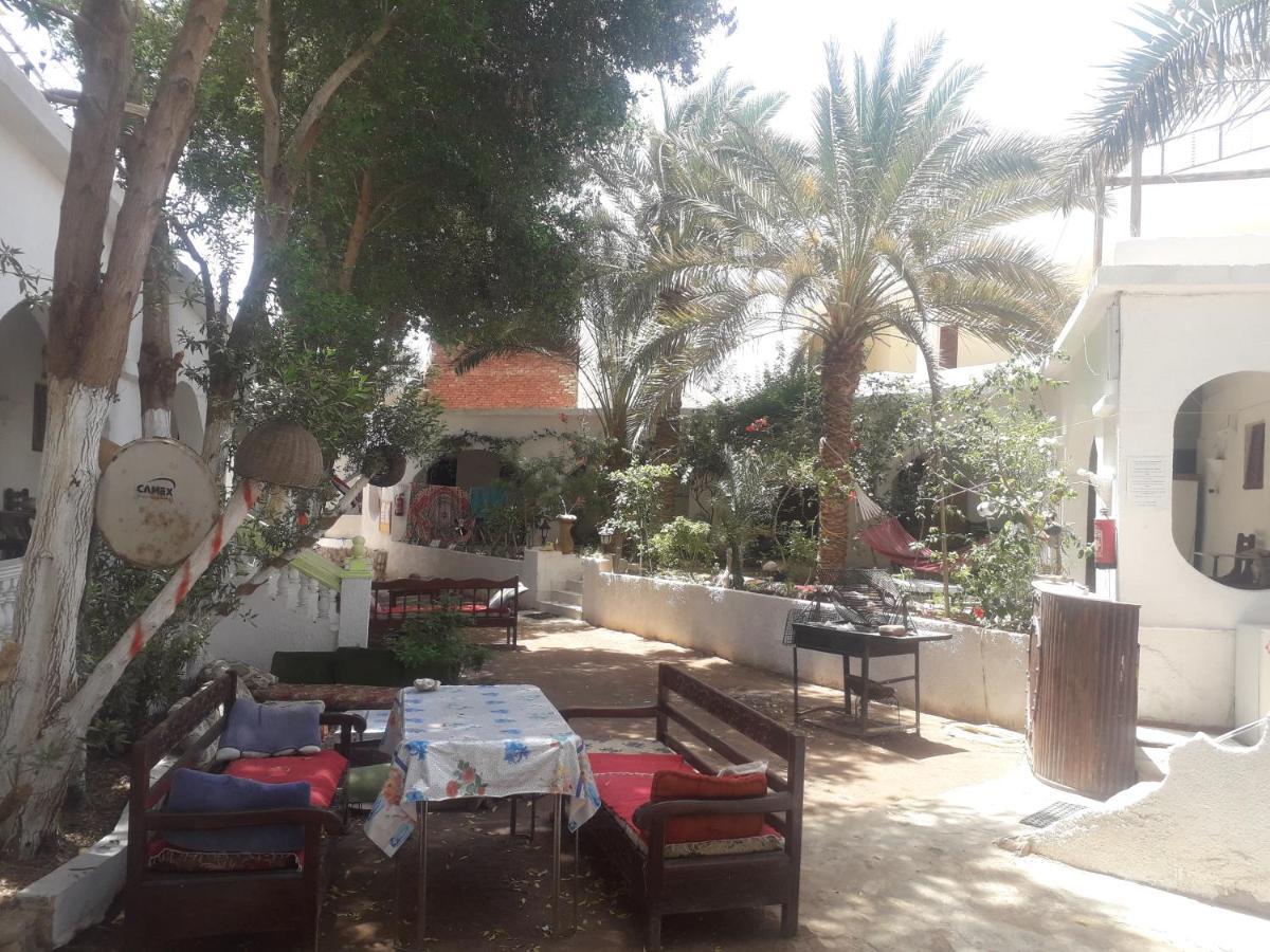Hotel Fighting Kangaroo Camp Dahab Exterior foto