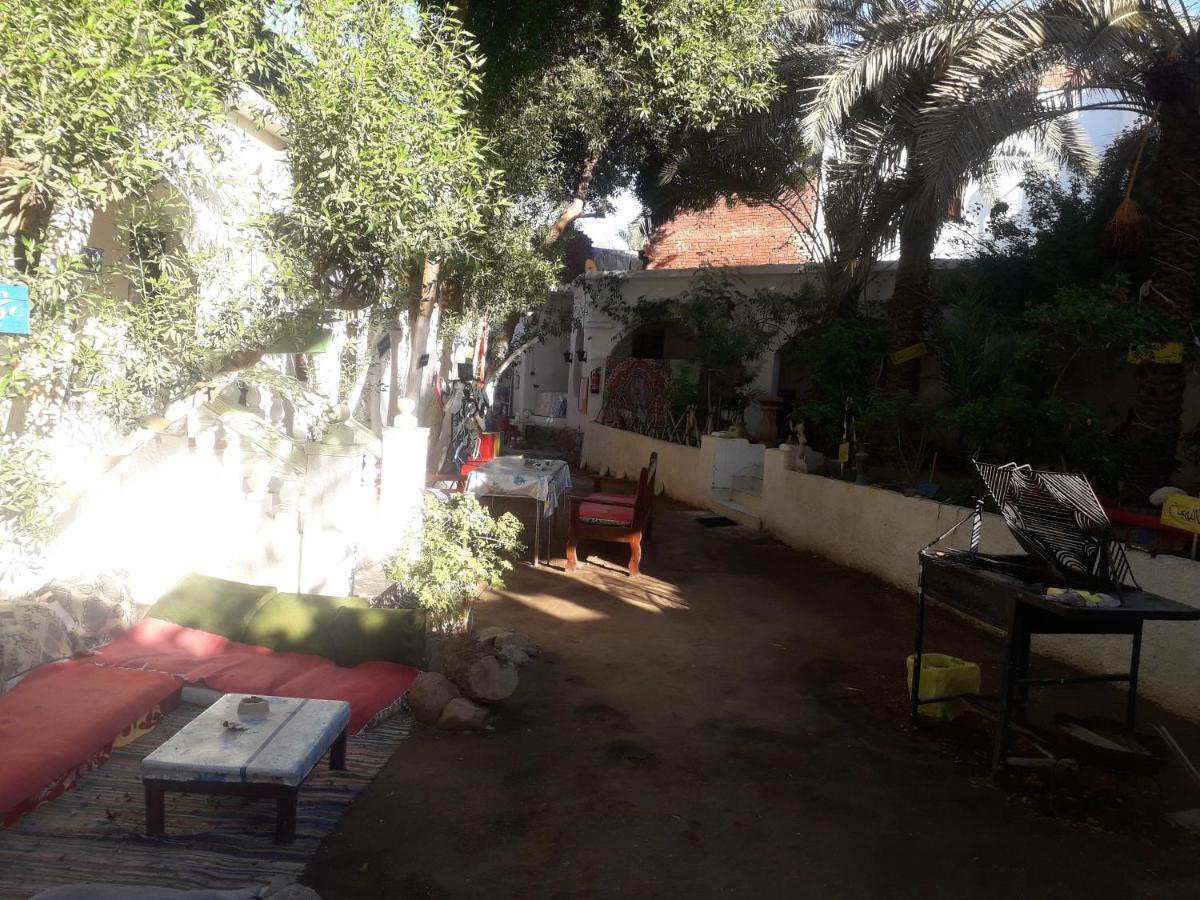 Hotel Fighting Kangaroo Camp Dahab Exterior foto