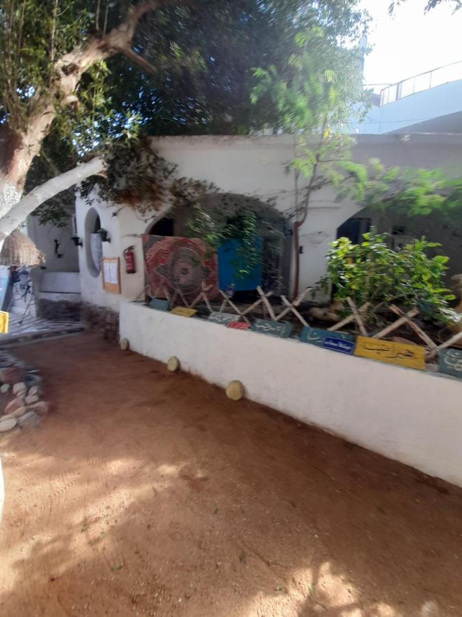 Hotel Fighting Kangaroo Camp Dahab Exterior foto