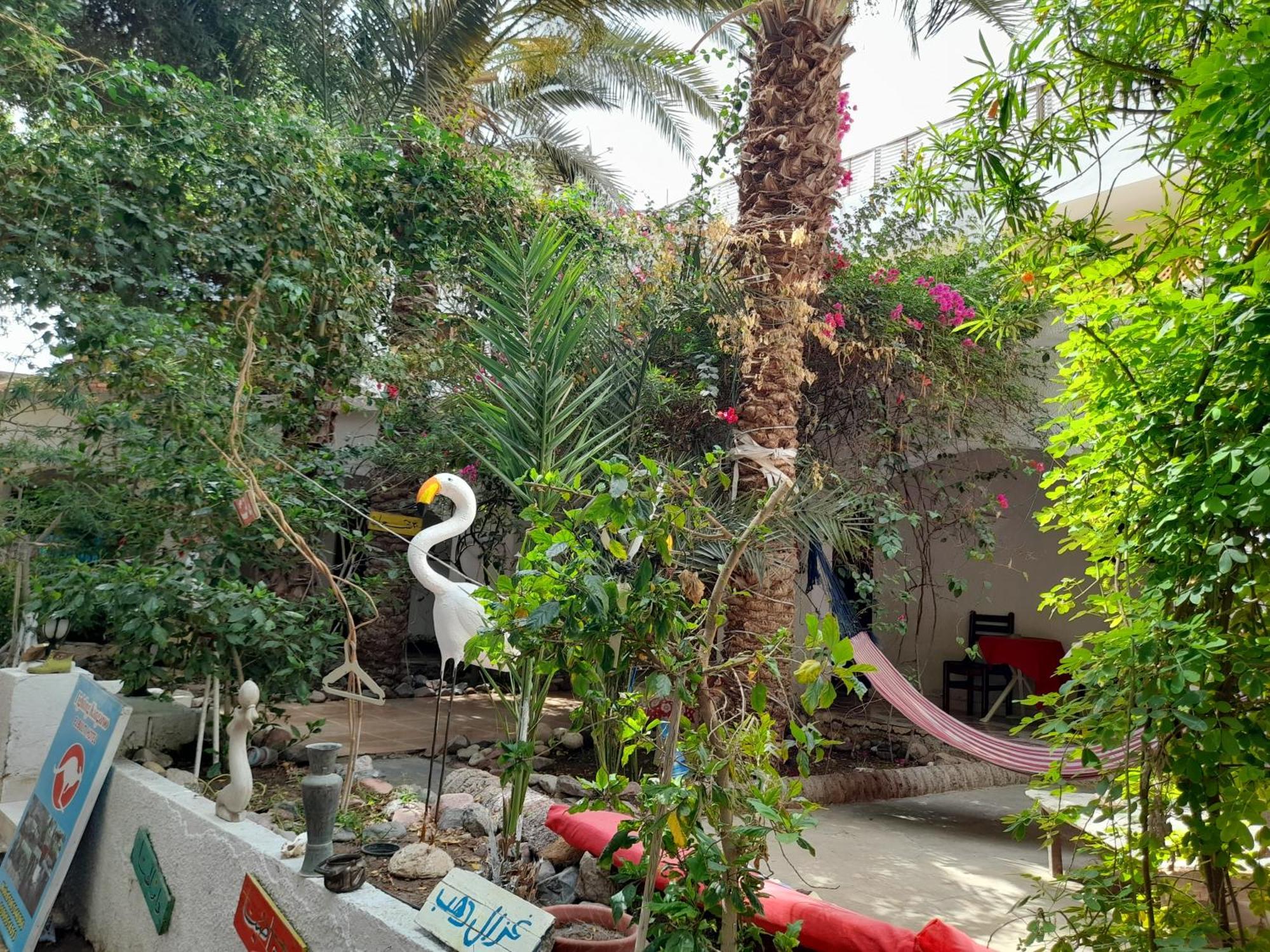 Hotel Fighting Kangaroo Camp Dahab Exterior foto