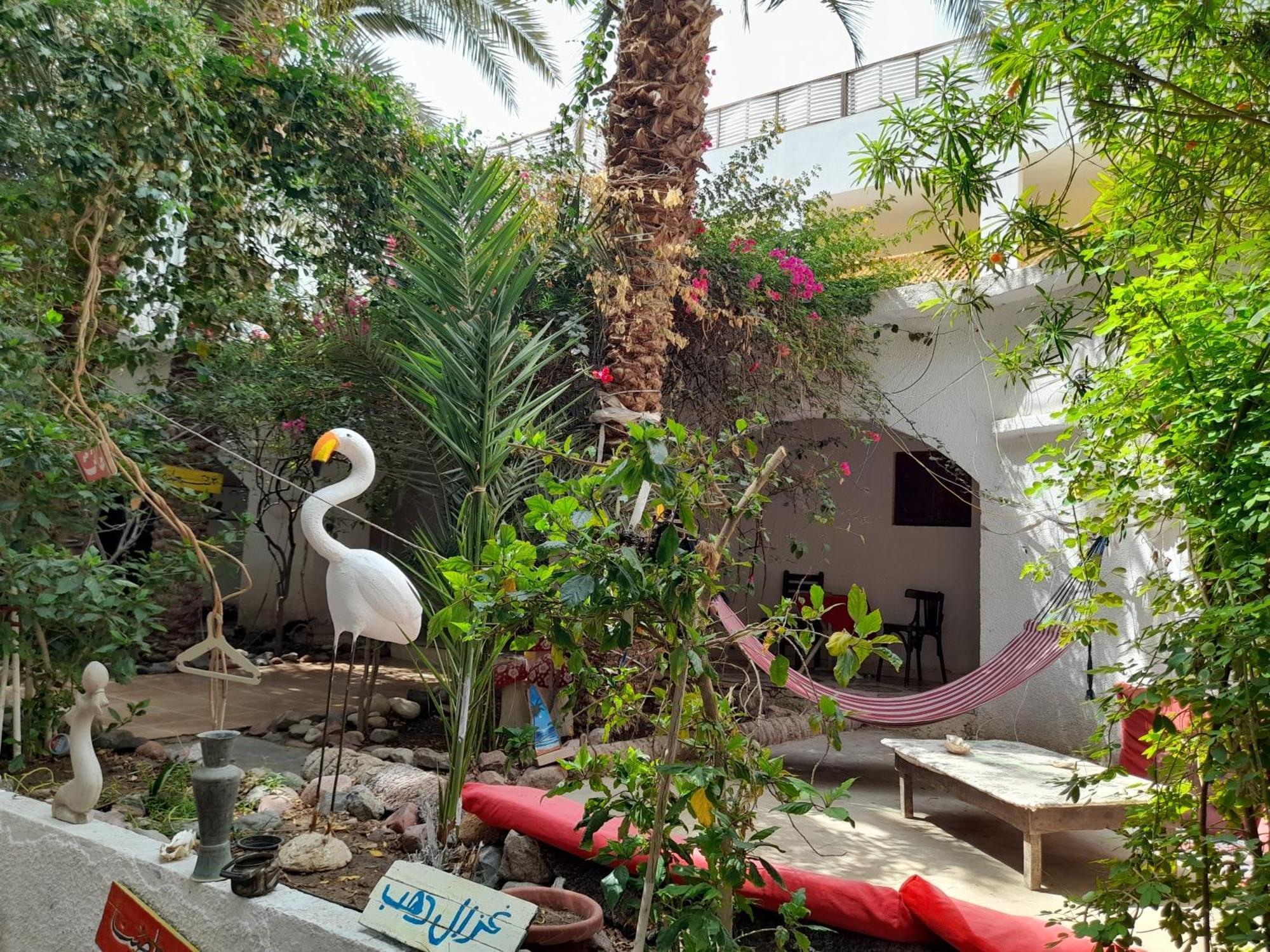 Hotel Fighting Kangaroo Camp Dahab Exterior foto
